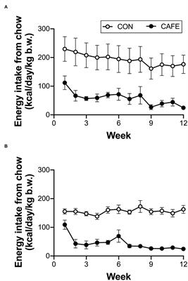 Cafeteria Diet Impacts the Body Weight and Energy Expenditure of Brown Norway Rats in an Apparent Age Dependent Manner, but Has no Effect on Muscle Anabolic Sensitivity to Nutrition